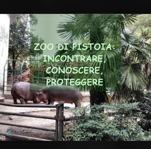 Il Telaio - Pian di Nenne