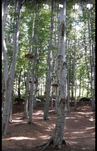 Il Telaio - Pian di Nenne