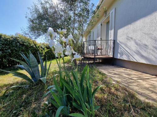 Balkons/terase, Le Ranch in Oupia