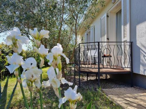 Balkons/terase, Le Ranch in Oupia