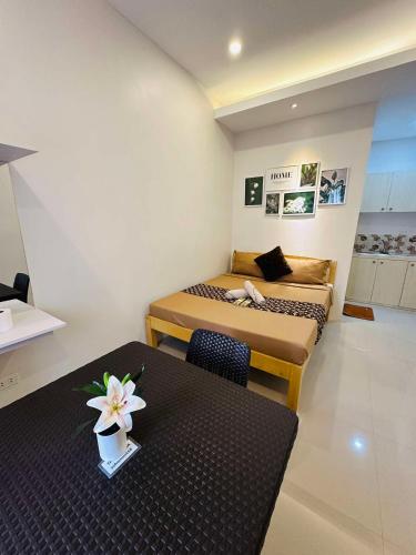 ZV Homes