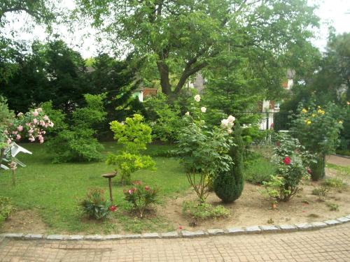 Les Magnolias chambre d'hôte Melun