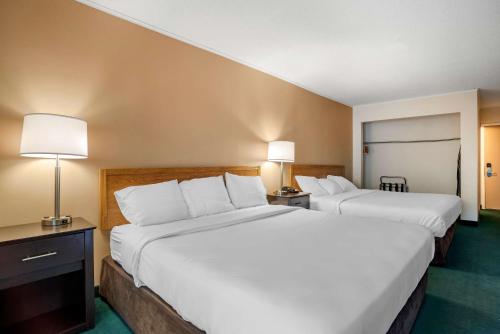 Rodeway Inn & Suites - Rehoboth Beach - image 11