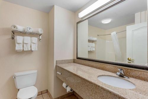 Comfort Inn & Suites Dover - image 6