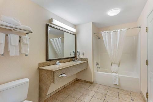 Comfort Inn & Suites Dover - image 9
