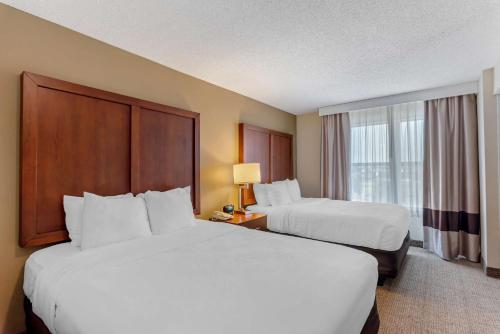 Comfort Inn & Suites Dover - image 11