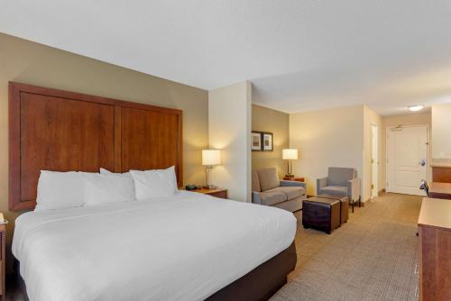 Comfort Inn & Suites Dover - image 2