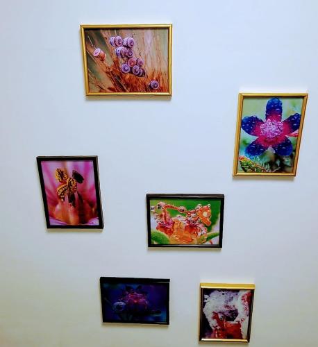 Bathroom, A country house in the city in Petah Tikva