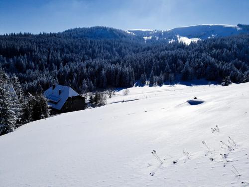 Rinken9 in Hinterzarten, Deutschland