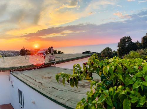 Hotel Villa Fiorentina - image 6