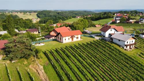 A szálláshely kívülről, Guesthouse and Wellness VINEA in Radenci