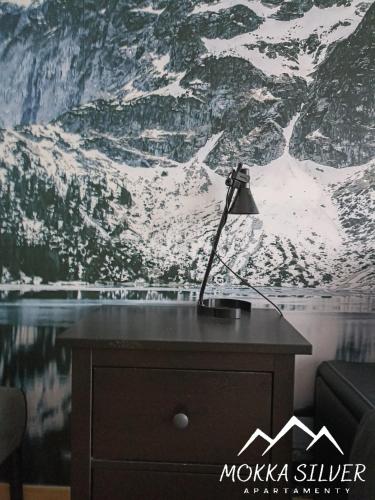 MOKKA SILVER Spa&Ski Apartamenty w Kompleksie Viva Maria z parkingiem i placem zabaw, Zakopane (fotografie 10)