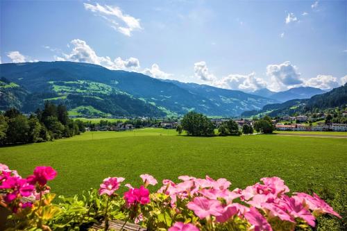Hotel Pension*** Wiesenhof – Kaltenbach, IL