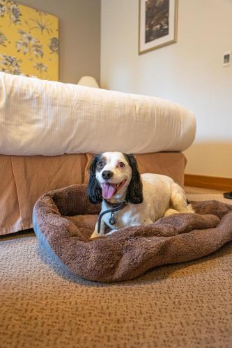 Bicester Hotel Golf & Spa - image 12