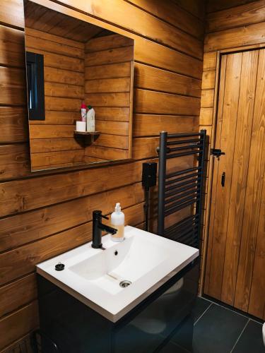 ห้องน้ำ, Charmant, gezellig en knus 5p chalet op Veluwe naast Sauna Drome in พุดเทน