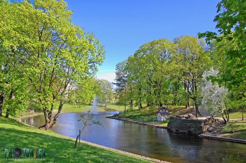 Lovely 1 bedroom apart, for business travellers or couple in Kadriorg