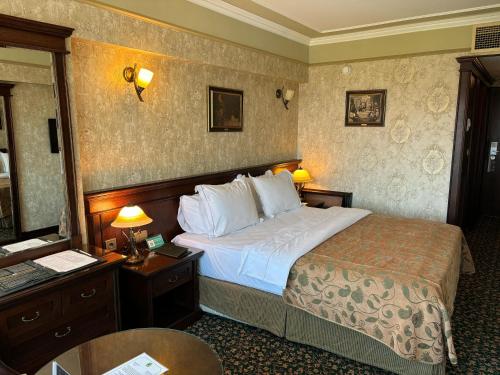 Germir Palas Hotel - Special Class, Istanbul (fotografie 6)