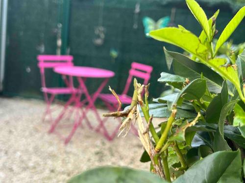 Maison studio Le bois fleuri in Lognes