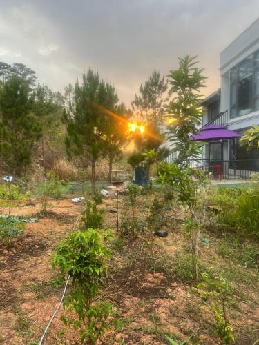 Surrounding environment, Hotel Hoang Chau Đa Lat in Langbiang Mountain