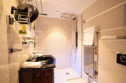 Hotel Le Meurice - image 8