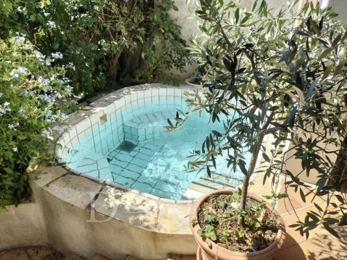 Tranquil, calm garden studio with spa pool, Grasse (fotografie 2)