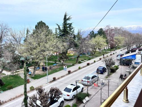 Вид, Vila Lacka in Поградец