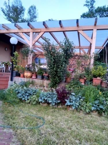 Haus Orleander in Gerersdorf Bei Gussing