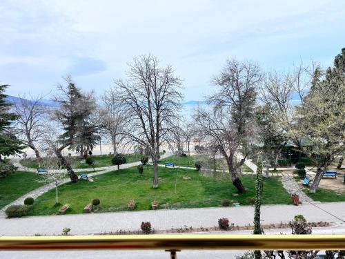 Вид, Vila Lacka in Поградец