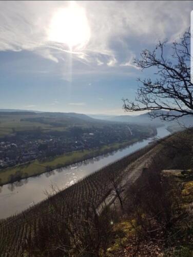 Vacation home Moselsteg in Brauneberg, Deutschland