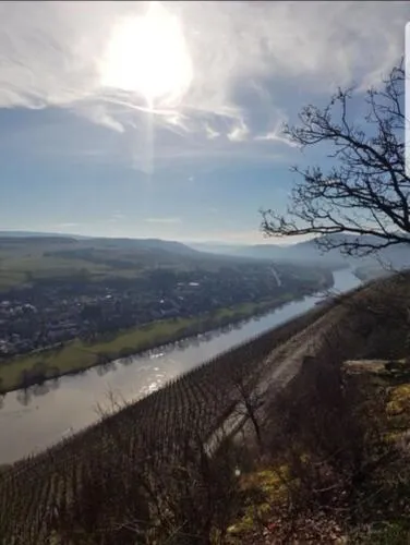 Vacation home Moselsteg in Brauneberg, Deutschland