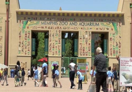 Walk to Memphis Nightlife, 100 Yr Old Cozy Apt Walk to Memphis Nightlife, 100 Yr Old Cozy Apt