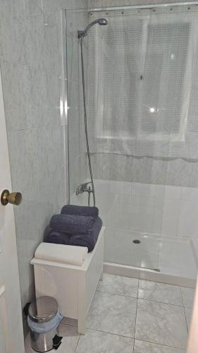 Ideal Holiday Apartment City Center, Málaga (fotografie 6)