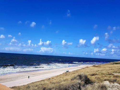 Voltants, Ferienwohnung, Zingst in Zingst