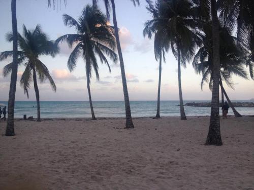 Beach, Savane 82 - Vue mer - Acces plage in Gosier