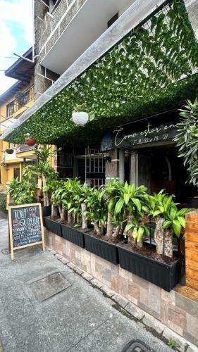 Casa Egos Pop Laureles