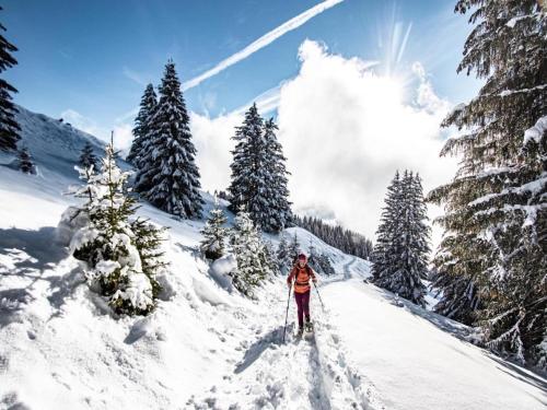 Studio in France near Barbossine Chairlift, Châtel (zdjęcie 9)