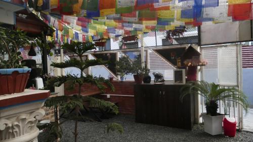 Best Hostel in Thamel, Káthmándú