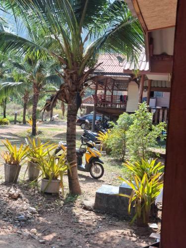 fadel bungalow