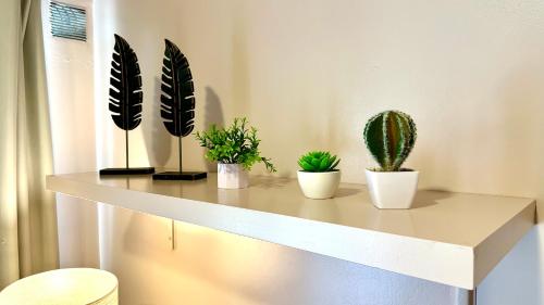 One-Bedroom Apartment image 8