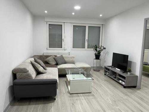 Lovely Emile Zola apartment in Laxou