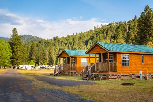 Yosemite Lakes Cabin 39 - main image