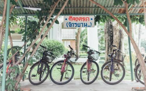 The Pine Resort The Pine Resort