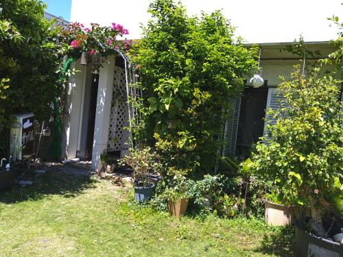 Exterior view, Minshuku Zabaru in Shiraho Beach