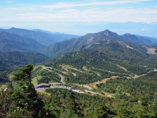 BUNA KUSATSU