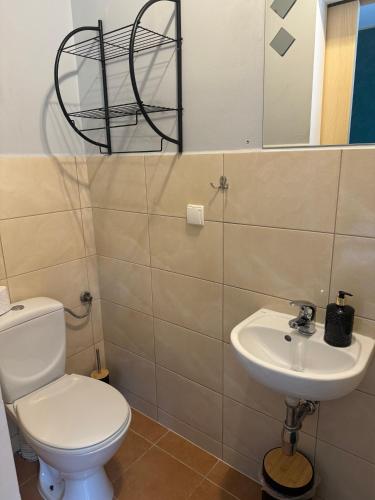 Zielona Łąka Zielona Łąka