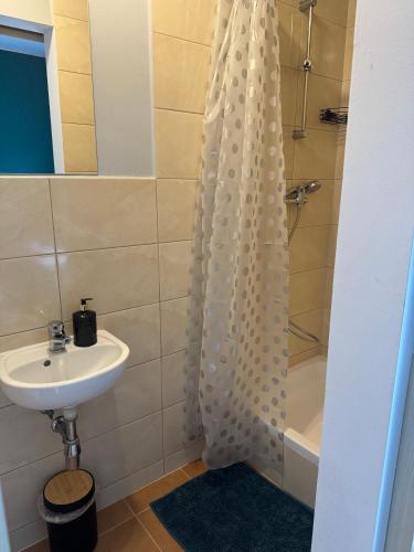 Zielona Łąka Zielona Łąka