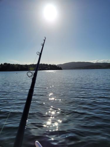 Åsenfjord, feriehus ved sjøen (Asenfjord, feriehus ved sjøen) in Asenfjord