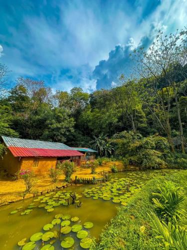 . Eco Lodge Meemure & Adventure Park