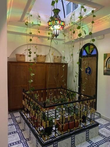 Dar Rif Kebdani Dar Rif Kebdani