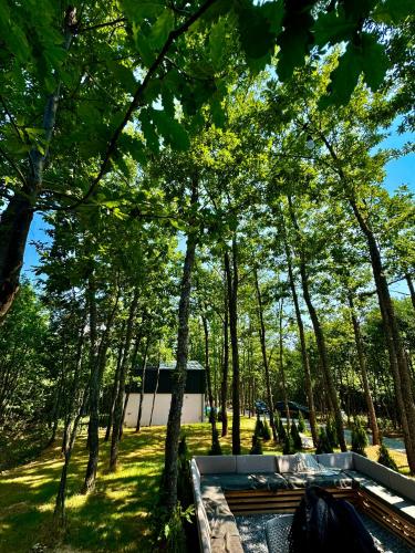 Zen Villas 2 - Zen Serene in Kmetovce